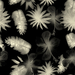 Obraz premium White Seamless Art. Gray Pattern Exotic. Black Tropical Leaf. Banana Leaves. Flower Leaves. Floral Leaf. Watercolor Palm. Decoration Hibiscus.