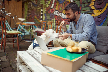 A young male student is feeding his dog while spending free time at the bar's garden. Leisure, bar, friendship, outdoor