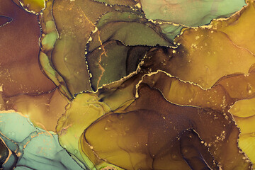 Alcohol ink art.Mixing liquid paints. Modern, abstract colorful background, wallpaper. Marble texture.Translucent colors