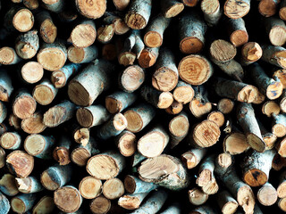 firewood on wall spare for winter and for kitchen work