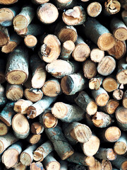 firewood on wall spare for winter and for kitchen work