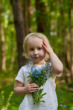 cute girl in a forest is picking forget-me-not flowers