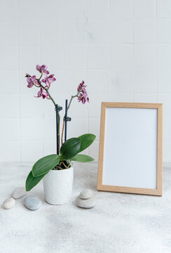 Closeup of purple phalaenopsis orchid in pot and mock up poster frame