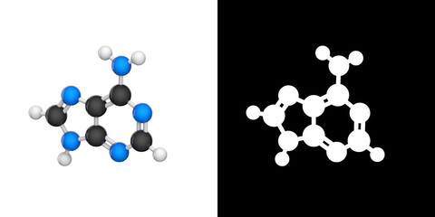 Molecular structure of Vitamin B4 (Adenine). 3D illustration. Chemical structure model: Ball and Stick. RGB + Alpha(Transparent) channel.