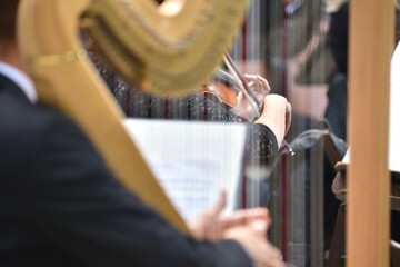 violin during concert view through harp with hands of musicians