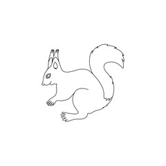 City squirrel . Vector line hand drawn illustration isolated on white background.