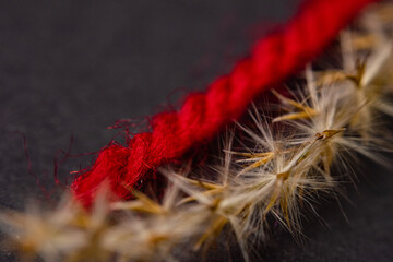 close up of red thread