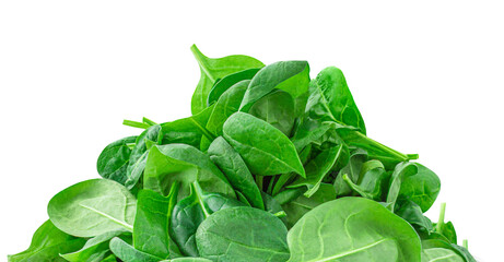 Spinach leaves isolated on white background. Green spinach Boarder or frame, close up.