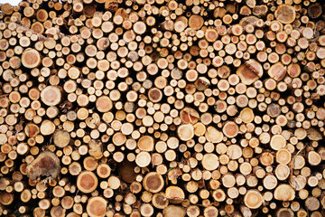 積み重ねられた丸太に切り口