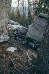 A close up of a rock a mountain