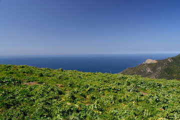 Panorama da Punta Lu Caparoni