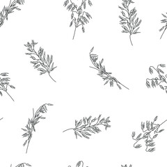 Oatmeal plant branches on the seamless texture, hand drawn floral pattern