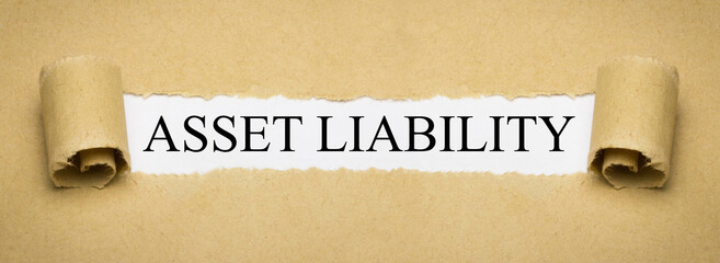 Asset Liability