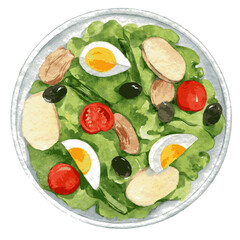 Hand drawn watercolor illustration of Nicoise salad on the plate isolated on the white background. Vector - 428368279
