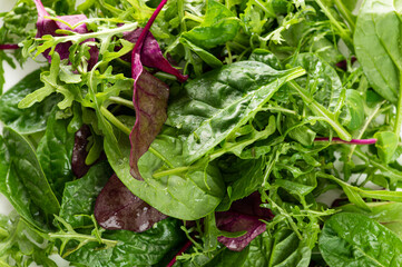 salad mix of fresh herbs, arugula, chard, spinach in a plate on a white background, close-up