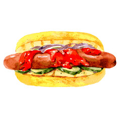 Hot dog with sausage, ketchup and pickles. Hand drawn watercolor illustration isolated on white background. Vector - 428368886