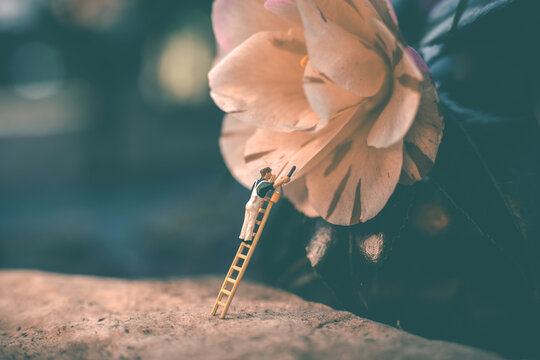 miniature 