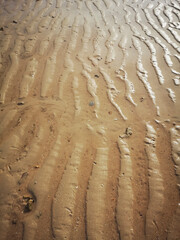 The lines of wet brown sand