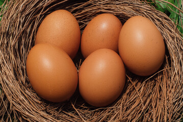 Close up fresh egg in a wooden basket 