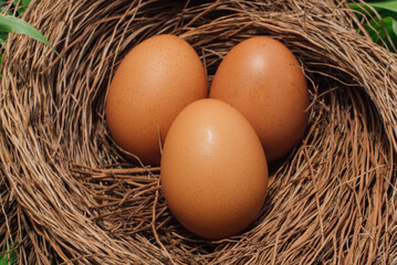 Close up fresh egg in a wooden basket 