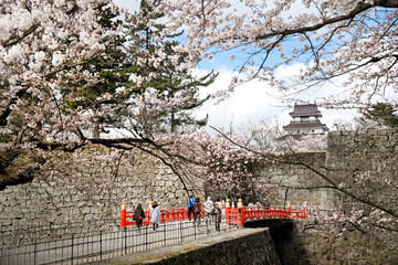 満開の桜と会津鶴ヶ城の廊下橋
