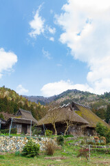 Fototapeta na wymiar Rice fields and old thatched-roof houses in Kitamura, Miyama Kayabuki no Sato, Nantan City, Kyoto Prefecture, Japan