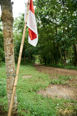 red and white flag on a tree