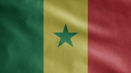 Senegalese flag waving in the wind. Senegal banner blowing soft silk.
