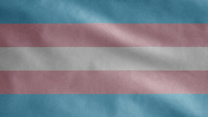 Transsexuality flag waving in the wind. Close up of Transsexual banner blowing.