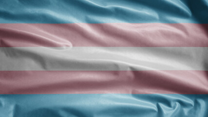Transsexuality flag waving in the wind. Close up of Transsexual banner blowing.
