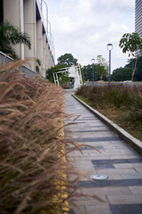 bridge over the river