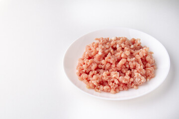 Minced meat on a white plate, free space, isolate