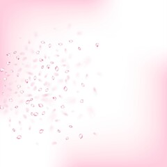 Cherry Sakura Blossom Confetti. Windy Leaves Confetti Frame. Falling