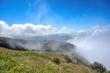 Foggy morning in mountains at Kew Mae Pan, Doi Inthanon National Park, Chiang mai.