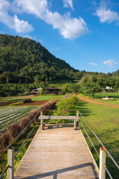 Benches overlooking the mountains on the farm at Rai Napa - Phupha, Chiang Mai, Thailand.
