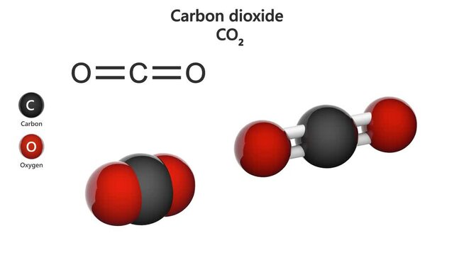 Carbon dioxide (CO2) is a colorless, odorless gas. It is formed in the process of breathing. Chemical structure model: Ball and Stick + Space-Filling. 3D render. Seamless loop. White background.