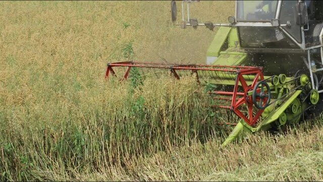 보리를 가을하는 풍경이다