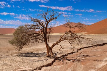 View of Namib Desert close to world famous Sossusvlei