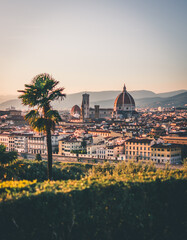 Fototapeta premium Florence Panoramic View with soft afternoon light in summer from Piazzale Michelangelo. Old town with duomo, cathedral and other sights