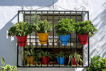 Close-up of colorful flower pots with succulents and little palms between a window and a window grille on the white wall of a house in the "white village" of Frigiliana, Spain, Europe

