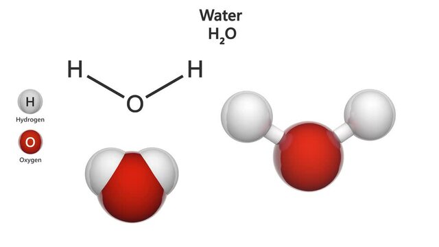 Water (formula: H2O) is a clear, odorless, tasteless liquid that is essential for most animal and plant life. Chemical structure model: Ball and Stick + Space-Filling. 3D render. Seamless loop