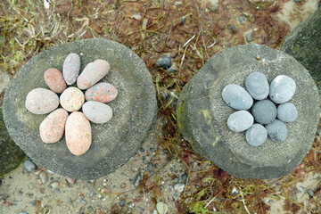 Close-up of flowers built by pebbles lying on top of two wooden piles of a spur dyke on the beach at the sea

