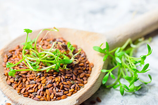 Cress, Lepidium sativum, garden cress, seeds on a wooden spoon and green leaves