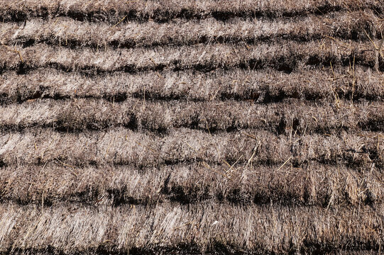 Roof roof made of bundles of straw