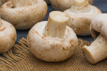 Fresh champignon mushrooms lie on a linen napkin on a gray wooden table.