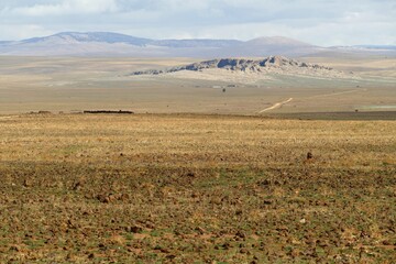 Panorama view of the beautiful barren landscape with rocky desert ground and a few mountains and hills in the background between Midelt and the Gorges du Ziz in Morocco, Africa