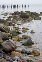 View of the coastline with round large stones forming the stone beach at the water's edge in front of weathered wooden piles with cormorants on them