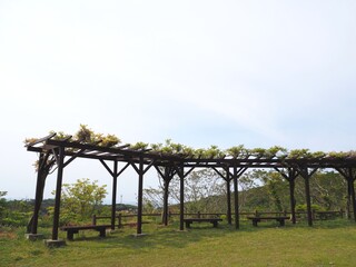 Fototapeta premium 公園