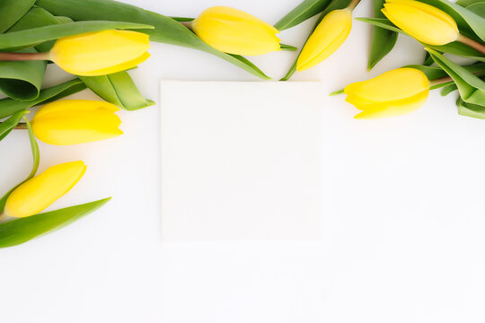 Yellow tulips flat lay on white background, empty picture frame, greeting card