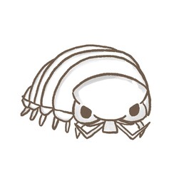 R：もっとメルヘンな水族館 ダイオウグソクムシ